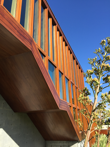 Exterior stain & Sealant